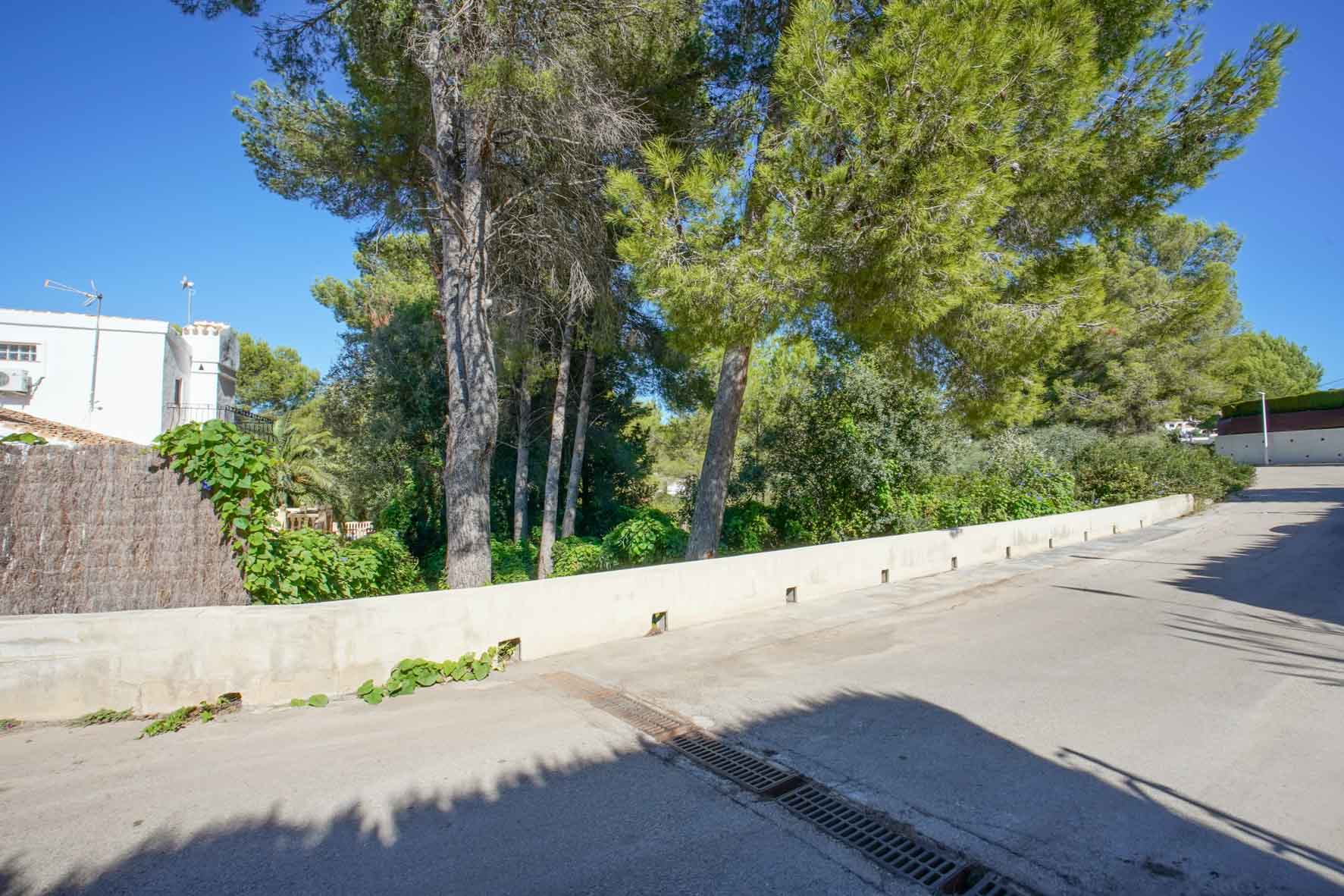 Außenansicht des Grundstücks von der asphaltierten Straße aus, mit der Begrenzungsmauer und alten Pinien unter klarem blauem Himmel.