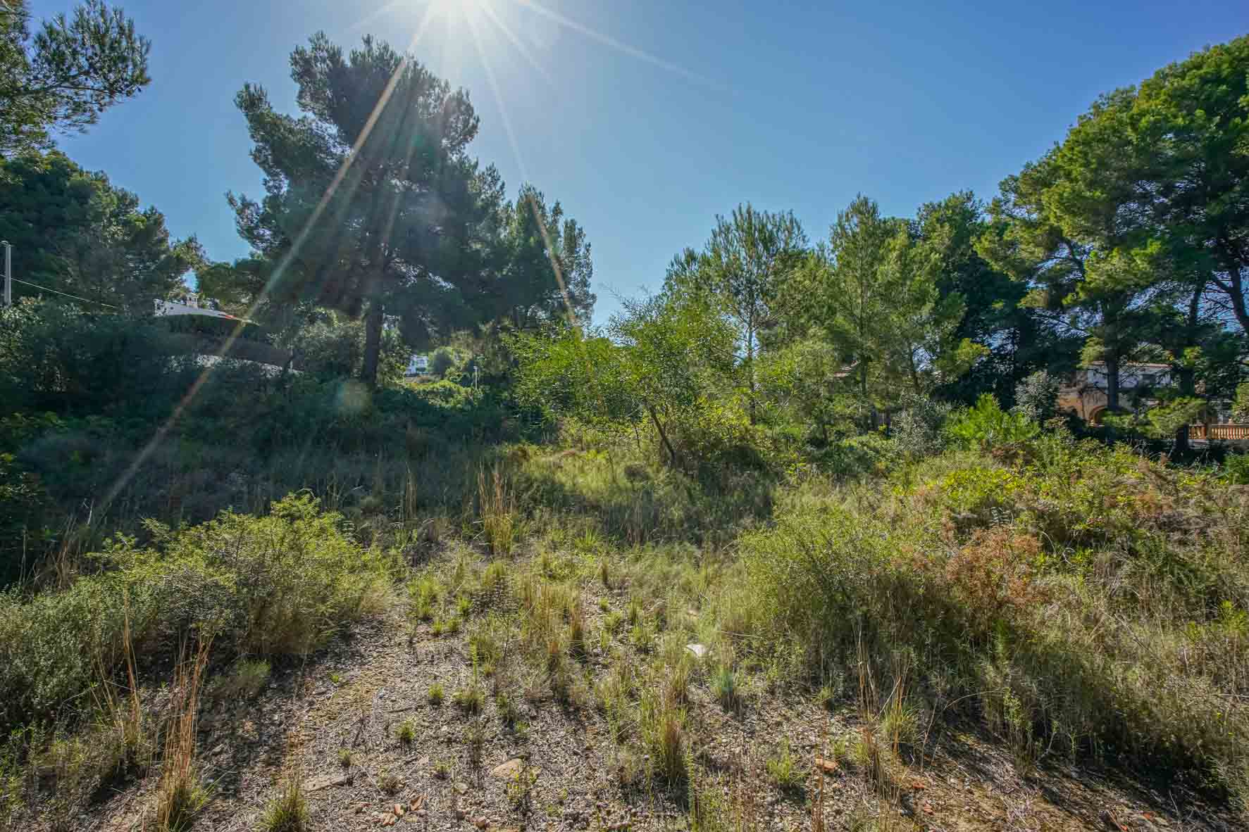Baugrundstück von 2700 m2 mit einheimischer Vegetation und alten Pinien in ruhiger Wohnlage mit hervorragender sonniger Ausrichtung.