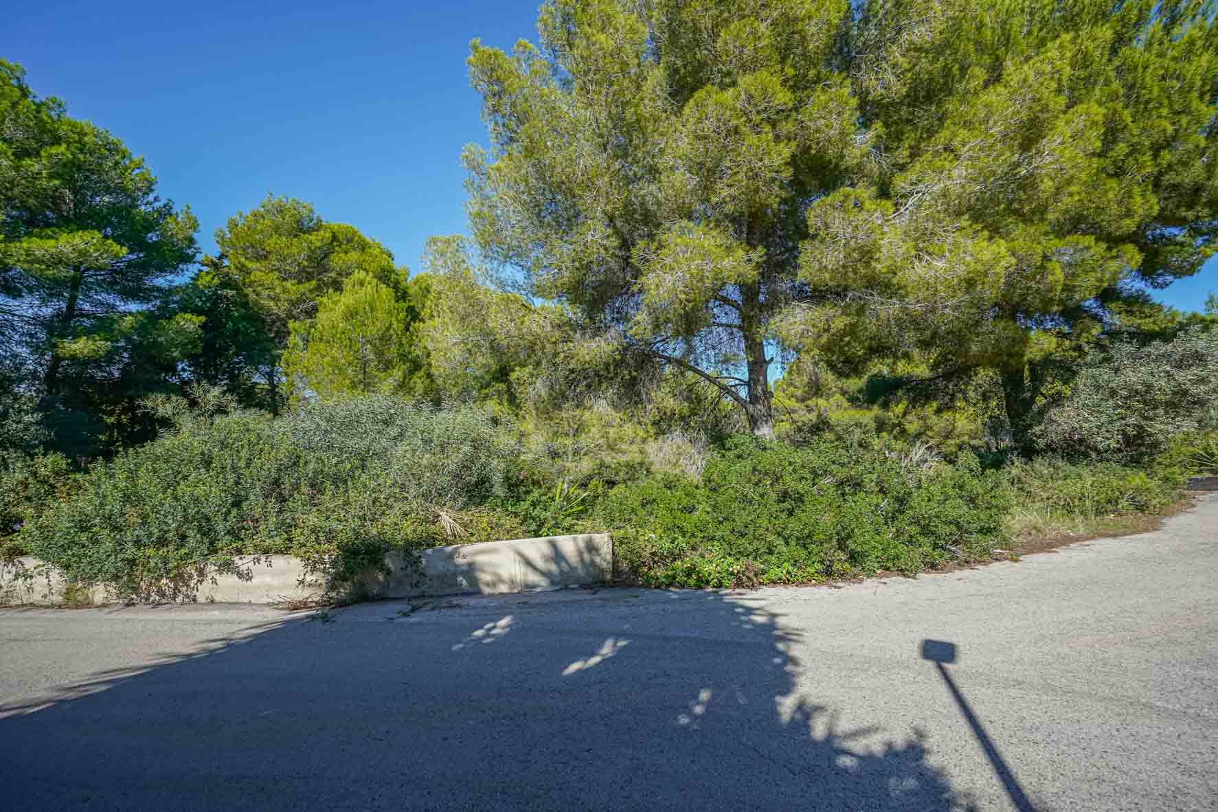 Eckgrundstück mit altem Kiefernbestand und dichter mediterraner Vegetation, begrenzt durch eine niedrige Betonmauer an einer ruhigen asphaltierten Straße.