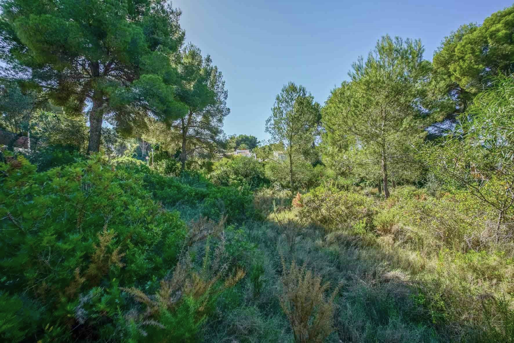 Ein 2.700 m2 großes Grundstück mit altem Pinienbestand und mediterraner Vegetation in der ruhigen Wohngegend von Portichol, Jávea.