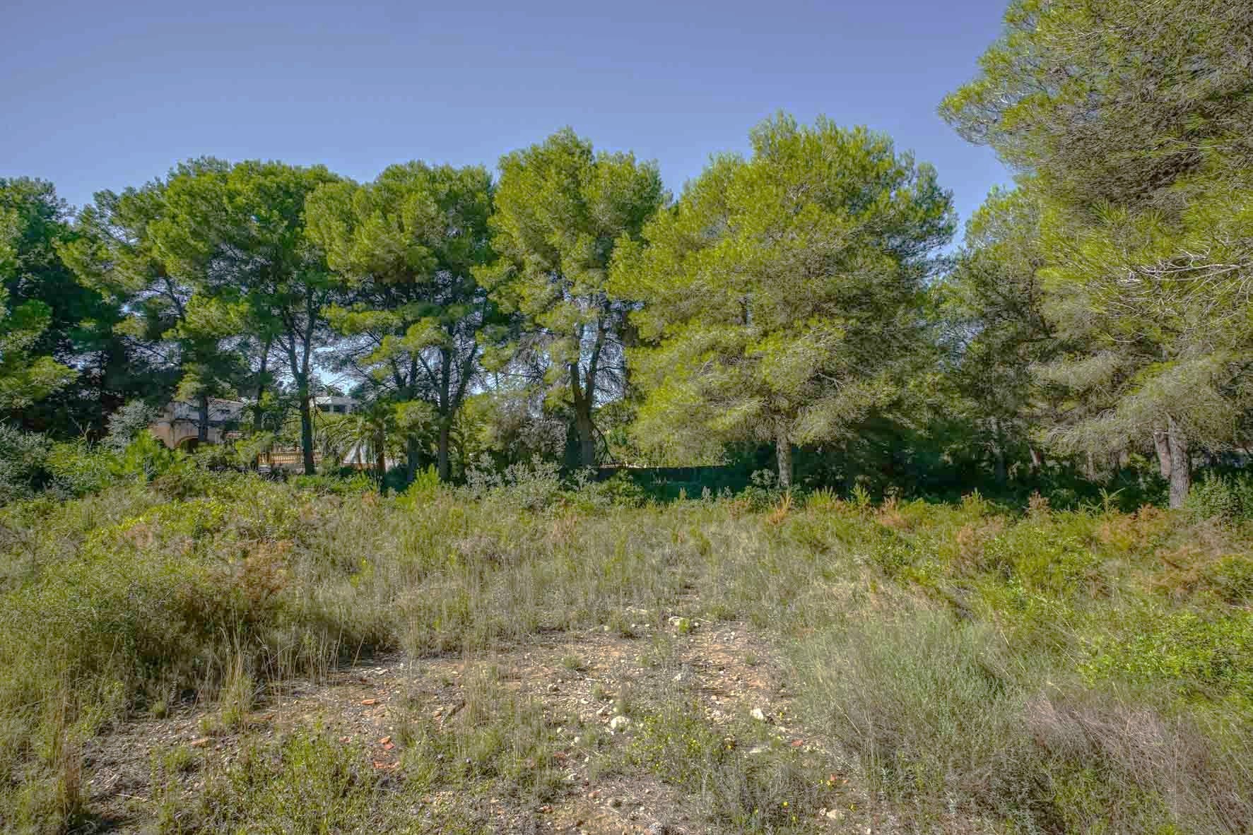 Flaches Grundstück mit mediterraner Vegetation und altem Pinienbestand in einer ruhigen Wohnlage von Portichol.