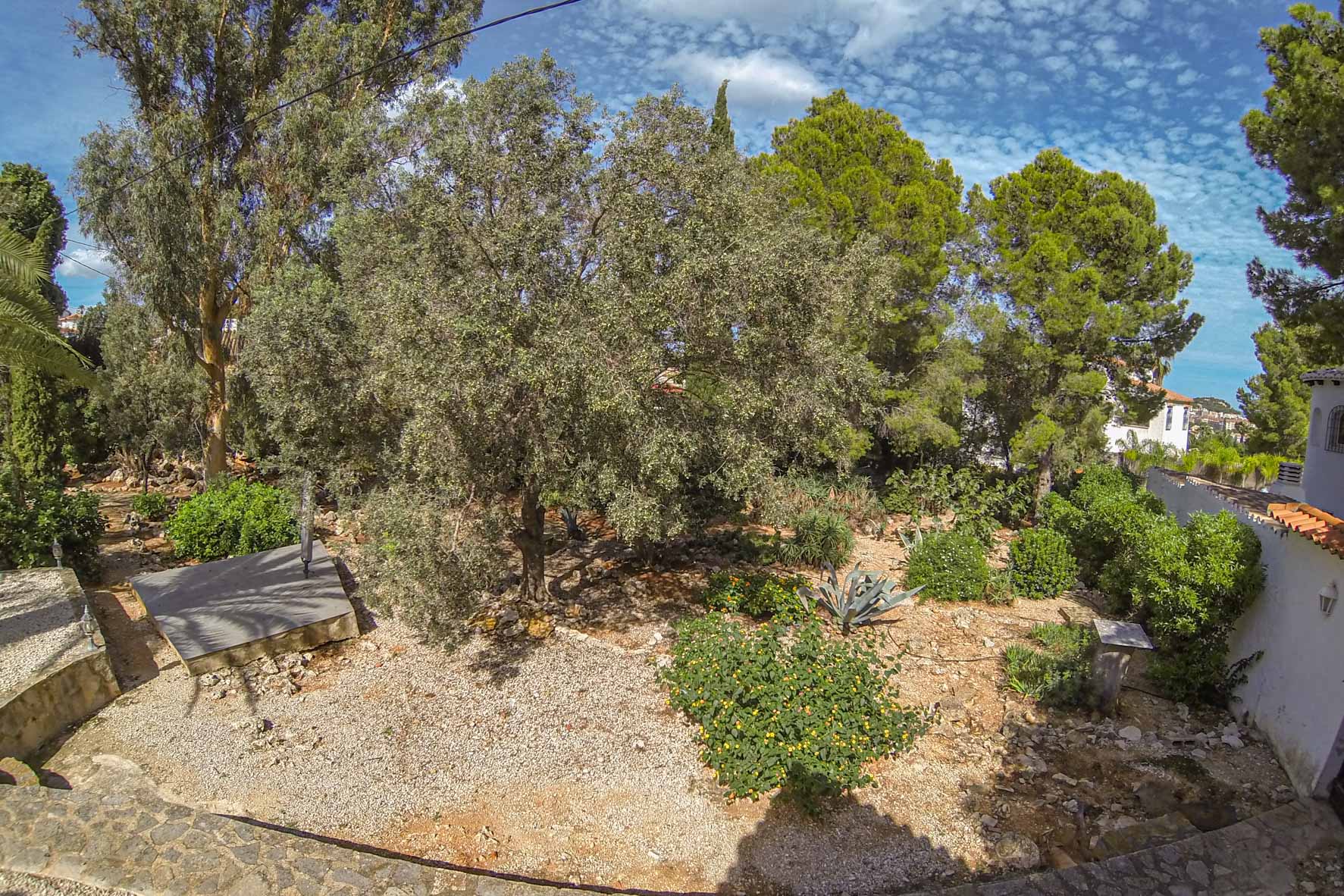 Blick auf den mediterranen Garten mit altem Baumbestand und abwechslungsreicher Vegetation auf einem Privatgrundstück.