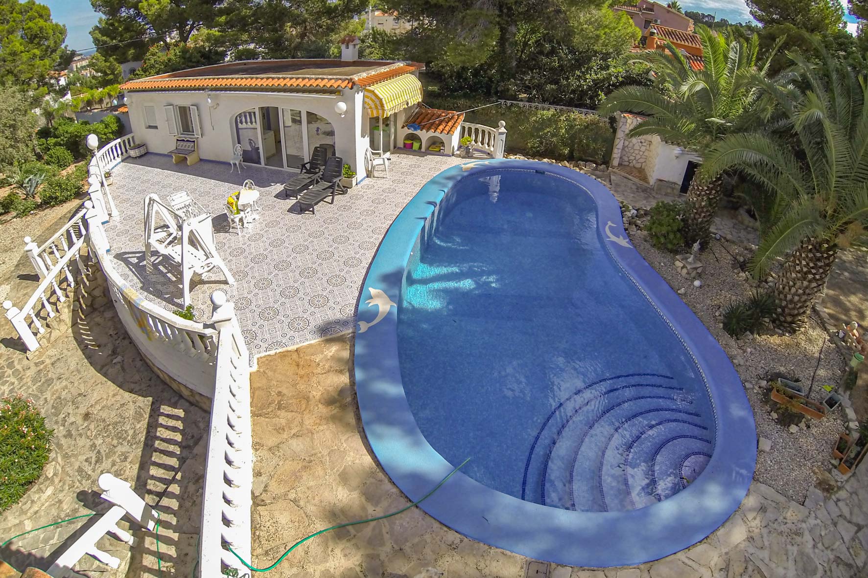 Erhöhte Ansicht des blauen Pools mit Delfinmotiven, umgeben von gemusterten Terrassen und gepflegten Gärten.