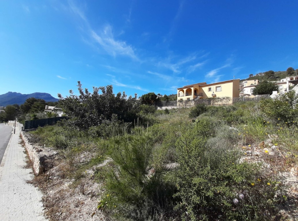 Baugrundstück mit mediterraner Vegetation und Bergblick, gelegen an einem gepflasterten Gehweg in einer ruhigen Wohngegend von Alcalalí.