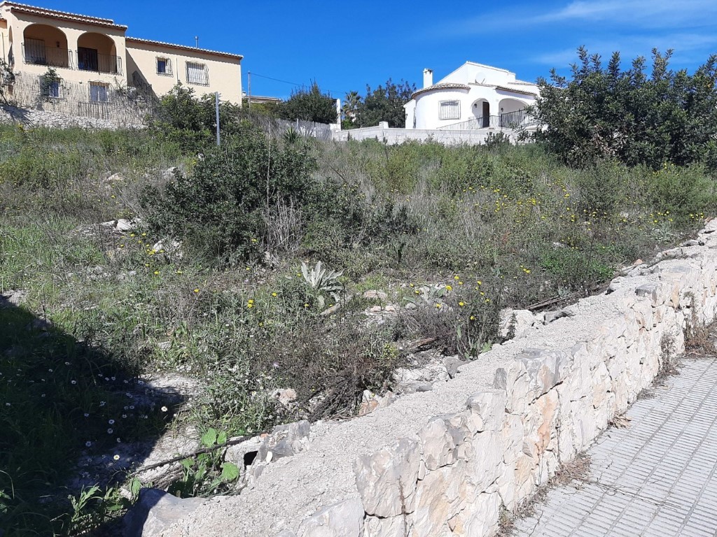 Erhöhtes Grundstück mit mediterraner Vegetation und einer Natursteinmauer in einer ruhigen Wohngegend von Alcalalí mit weitem Ausblick.