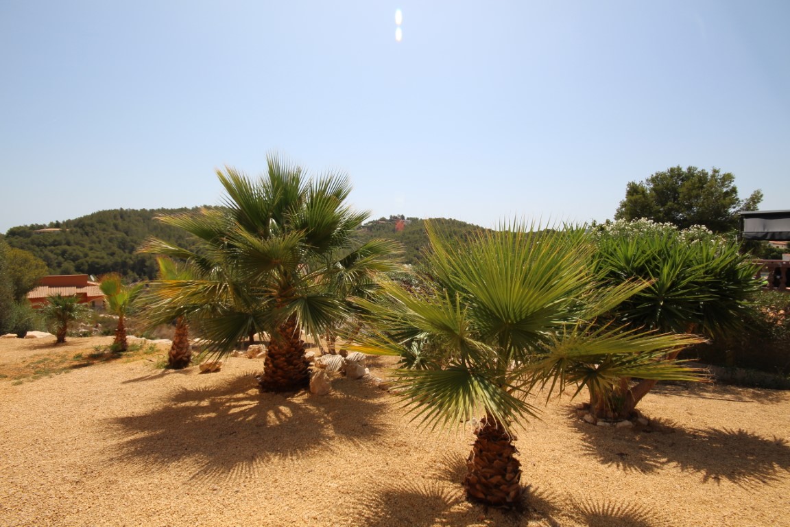 Pflegeleichter mediterraner Garten mit Palmen und Yuccas auf Kies, der einen weiten Blick auf die umliegenden grünen Hügel bietet.