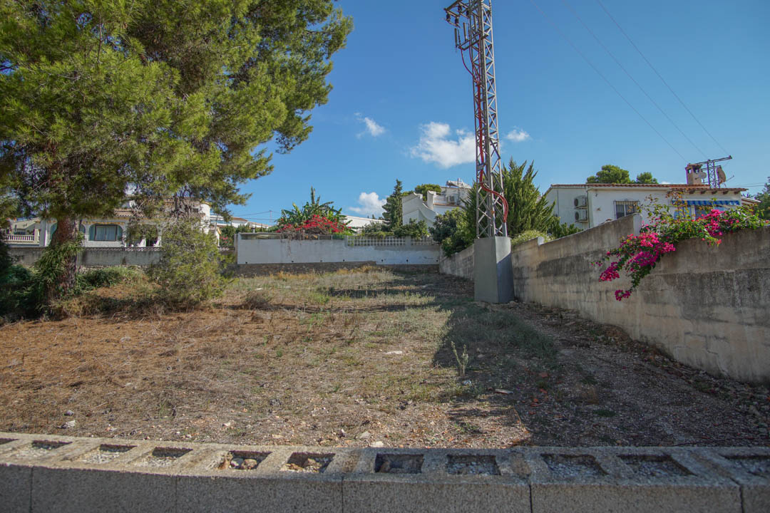 Freies Außengelände mit Betonmauern, einer alten Pinie und Bougainvillea, das viel Platz für Parkmöglichkeiten vor der Villa bietet.