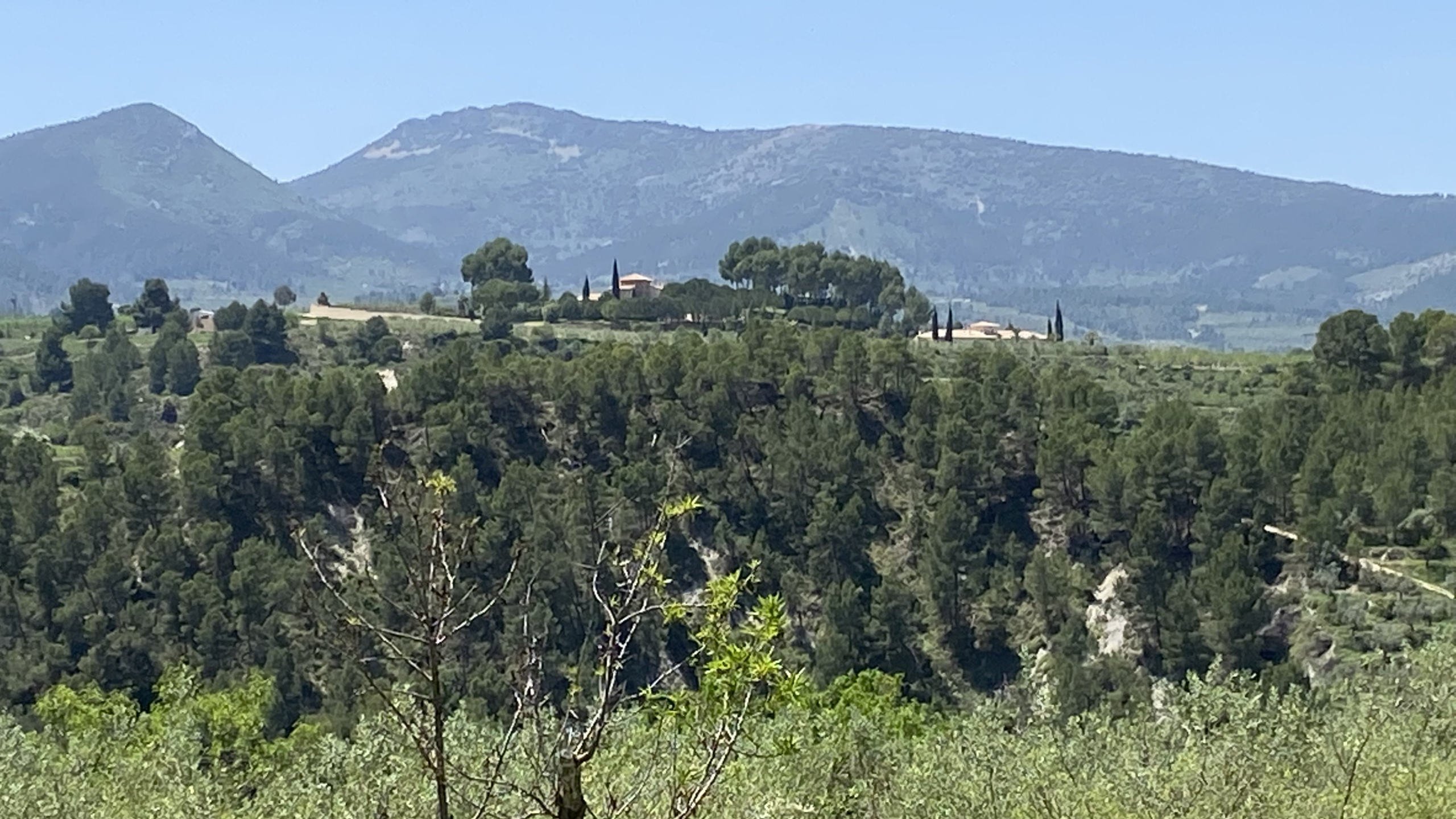 Panoramablick auf das Anwesen inmitten dichter Pinienwälder und sanfter Berge, mit den in die natürliche mediterrane Landschaft integrierten Gebäuden.