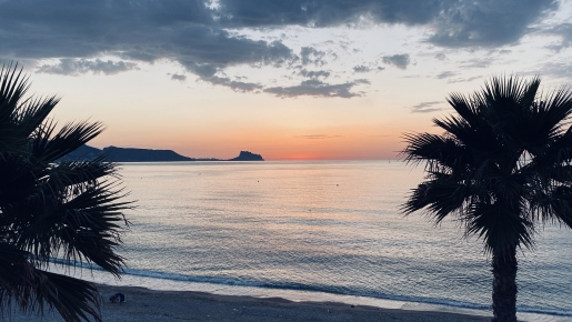 Panoramablick auf das Mittelmeer bei Sonnenuntergang, eingerahmt von Palmen, mit der Silhouette der Küste am Horizont.