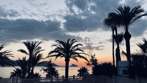 Panoramablick auf das Mittelmeer bei Sonnenuntergang mit Silhouetten ausgewachsener Palmen und der bergigen Küstenlinie unter einem dämmrigen Himmel.
