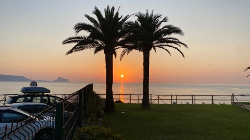 Panoramablick auf den Sonnenuntergang über dem Mittelmeer vom Garten aus, mit Silhouetten ausgewachsener Palmen und der fernen Küste.