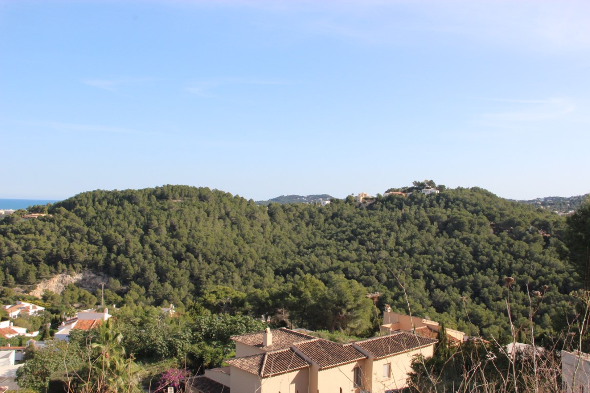 Erhöhter Panoramablick über einen dichten mediterranen Pinienwald bis hin zum Meereshintergrund, gesäumt von traditionellen Ziegeldächern.