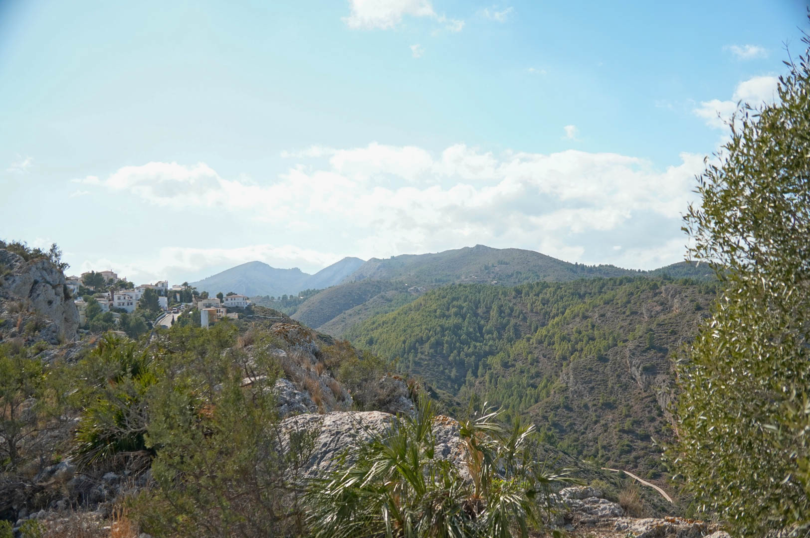 Panoramablick auf die umliegende Berglandschaft mit dichten Pinienwäldern und mediterraner Architektur, die sich harmonisch in die Natur von Pedreguer einfügt.