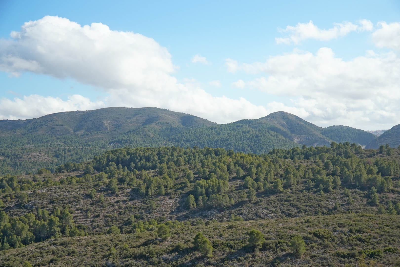 Panoramablick auf die umliegenden Berge von Pedreguer mit dichten mediterranen Pinienwäldern unter einem leicht bewölkten blauen Himmel.