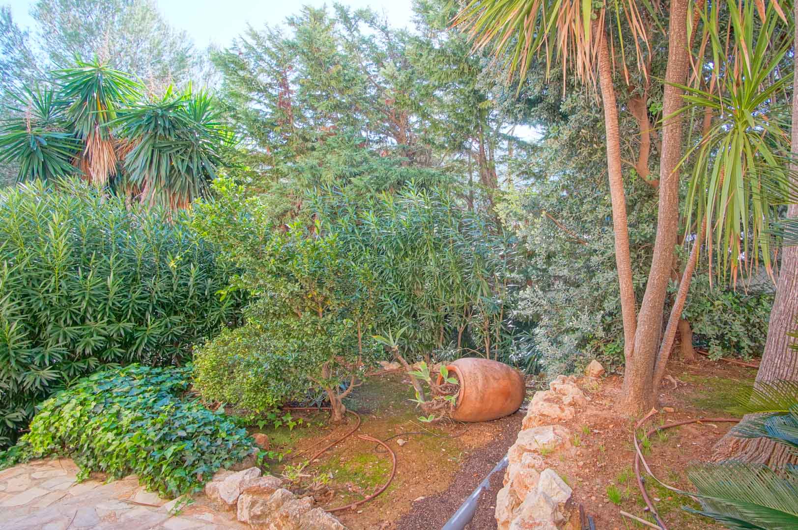 Mediterraner Garten mit dichtem Bewuchs, Palmen und Sträuchern. Eine dekorative Terrakotta-Amphore liegt neben einer Natursteinmauer und einem gepflasterten Pfad.