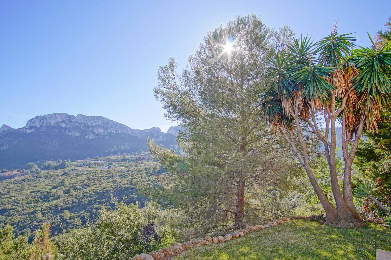 Panoramablick auf die Berge vom Garten der Villa aus, mit Pinien und Yucca-Palmen unter einem wolkenlosen, sonnigen Himmel.