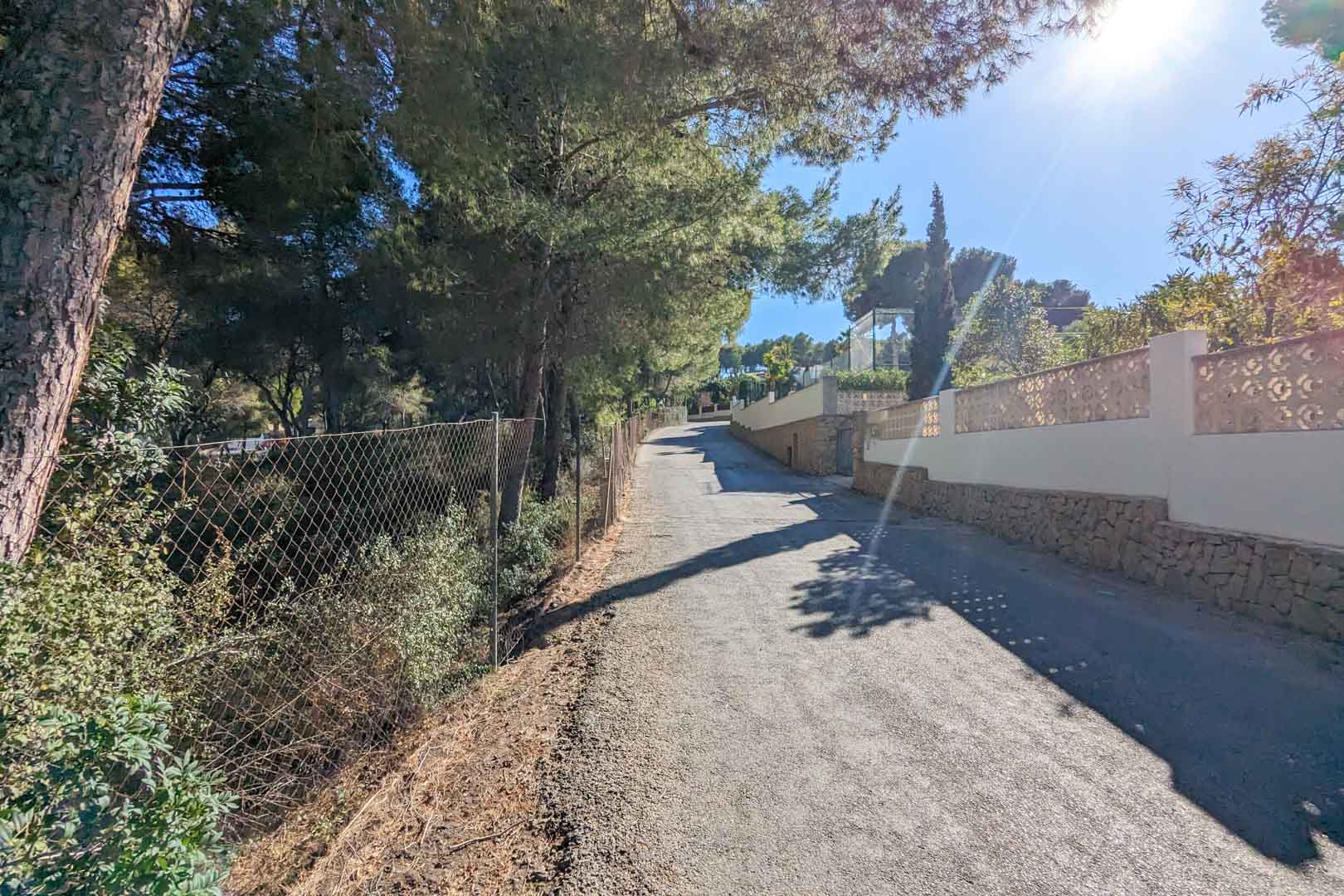 Asphaltierte Zufahrtsstraße, gesäumt von alten Pinien und einer Natursteinmauer mit dekorativem Gitterwerk in der exklusiven Gegend von l'Andragó.