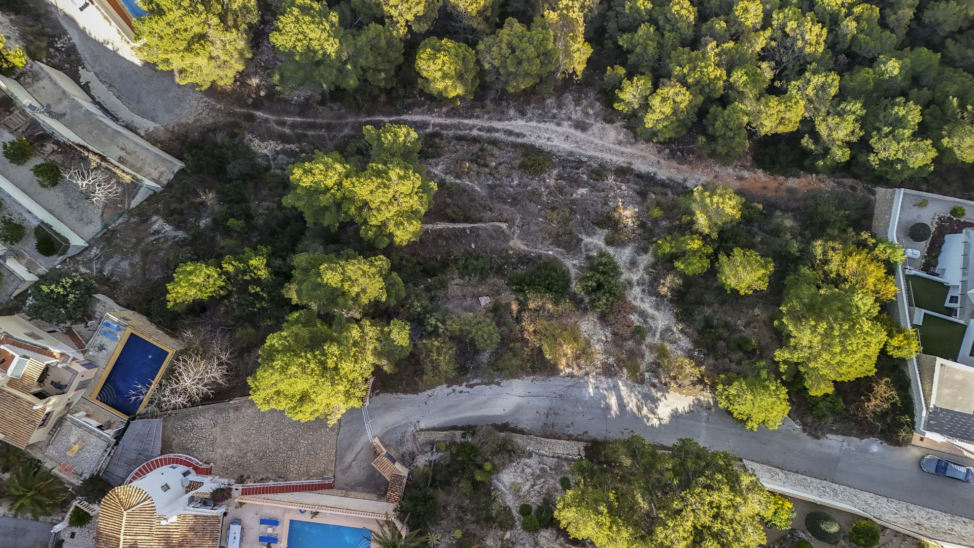 Luftaufnahme des Baugrundstücks in Benissa aus der Vogelperspektive, die das natürliche Gelände mit Pinienbestand und die asphaltierte Zufahrtsstraße zeigt.