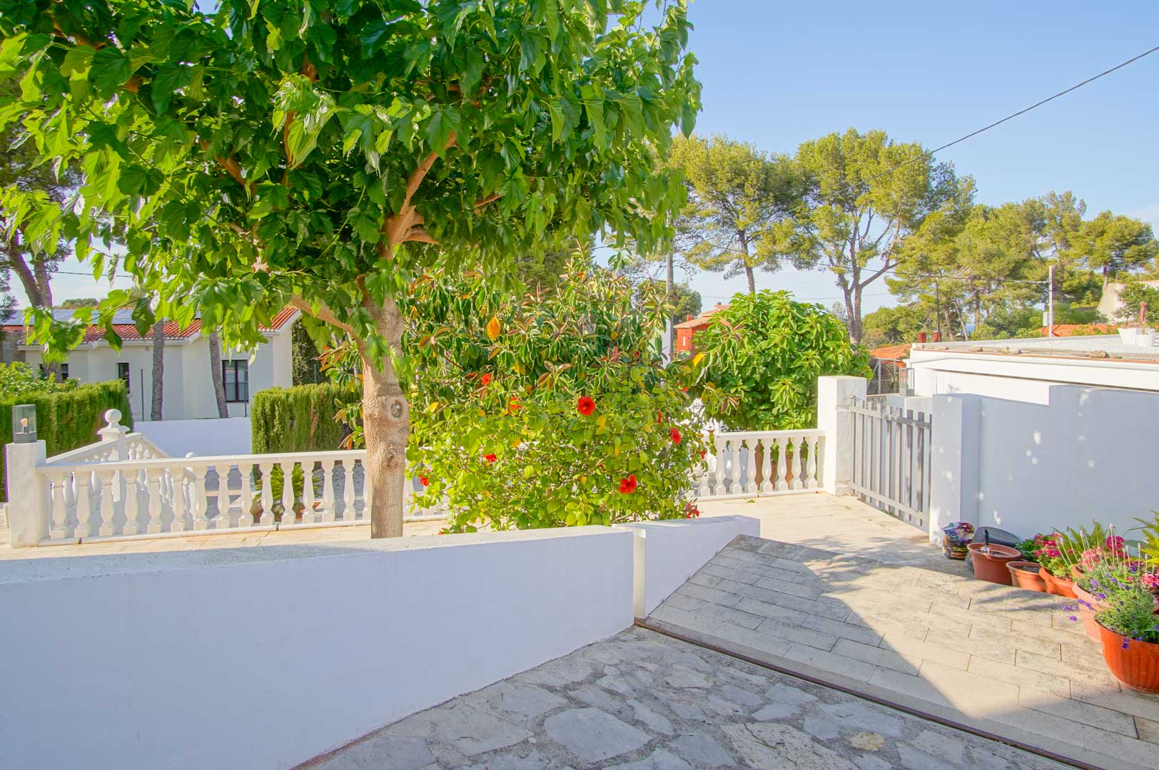 Außen-Terrasse mit klassischer weißer Balustrade, Steinpflasterung und üppiger mediterraner Bepflanzung mit blühendem Hibiskus und schattenspendenden Bäumen.
