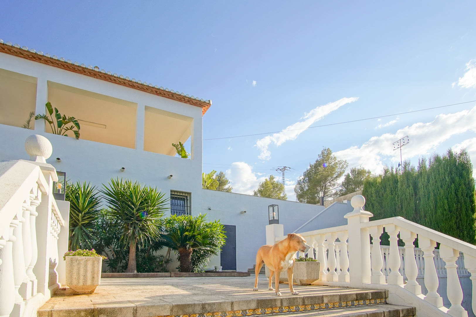 Außenansicht der Villa mit weißen Balustraden, Steinterrasse und mediterraner Bepflanzung wie Yuccas und Palmen unter der Sonne von Dénia.