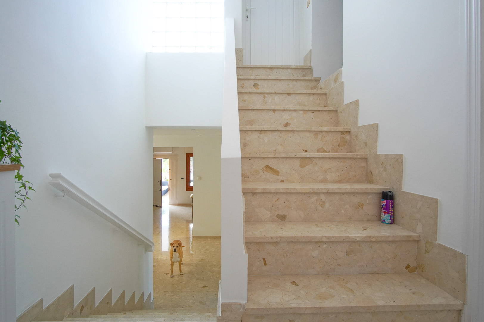 Innentreppe aus cremefarbenem Marmor mit passenden Sockelleisten, beleuchtet durch natürliches Licht eines Glasbausteinfensters in einem hellen, weißen Treppenhaus.