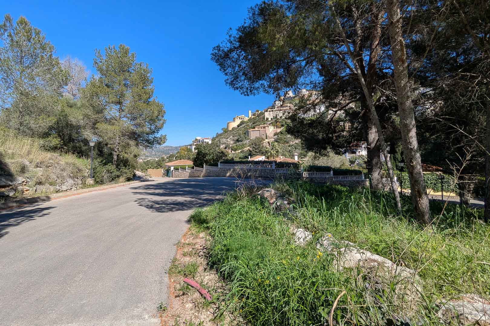 Blick auf die asphaltierte Zufahrtsstraße in Monte Solana, gesäumt von Pinien und mediterraner Vegetation vor einer hügeligen Kulisse.