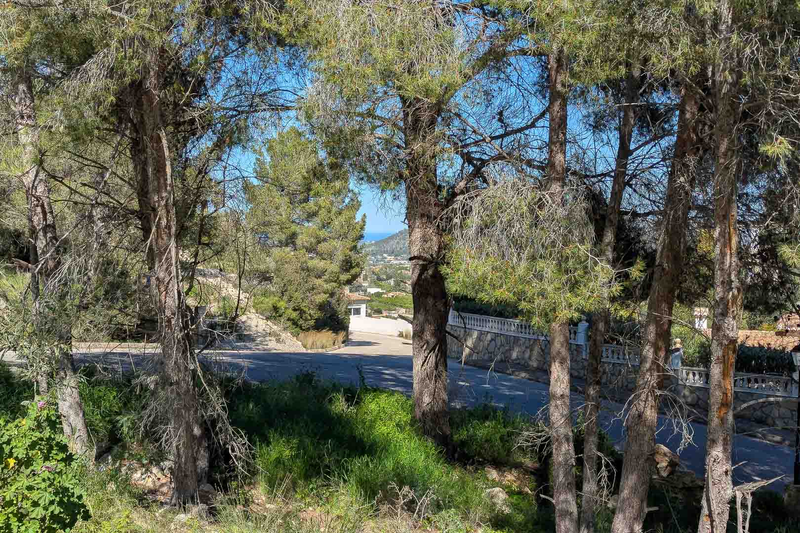 Panoramablick vom Grundstück durch alten Pinienbestand auf die natürliche Umgebung und die befestigte Zufahrt mit seitlichem Meerblick in der Ferne.