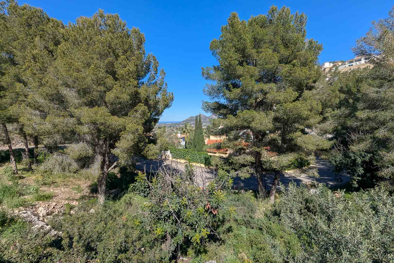 Panoramablick vom Grundstück in Monte Solana, eingerahmt von alten Pinien und mediterraner Vegetation mit Blick auf das Tal und die Berge.