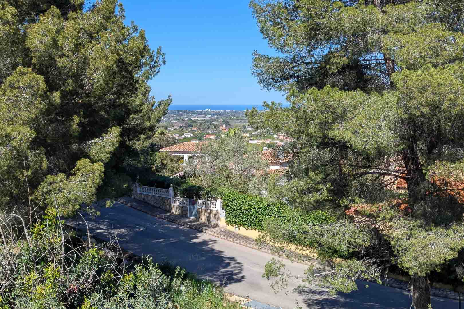Panoramablick von Monte Solana auf die Küste, eingerahmt von Pinien, mit Blick auf das Wohngebiet und das Mittelmeer am Horizont.