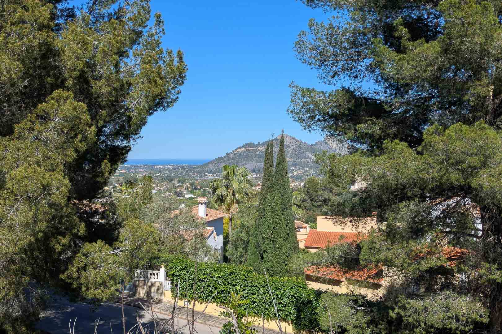 Panoramablick von Monte Solana über das Tal und die Berge bis hin zum Mittelmeer am Horizont, eingerahmt von Pinien und Zypressen.