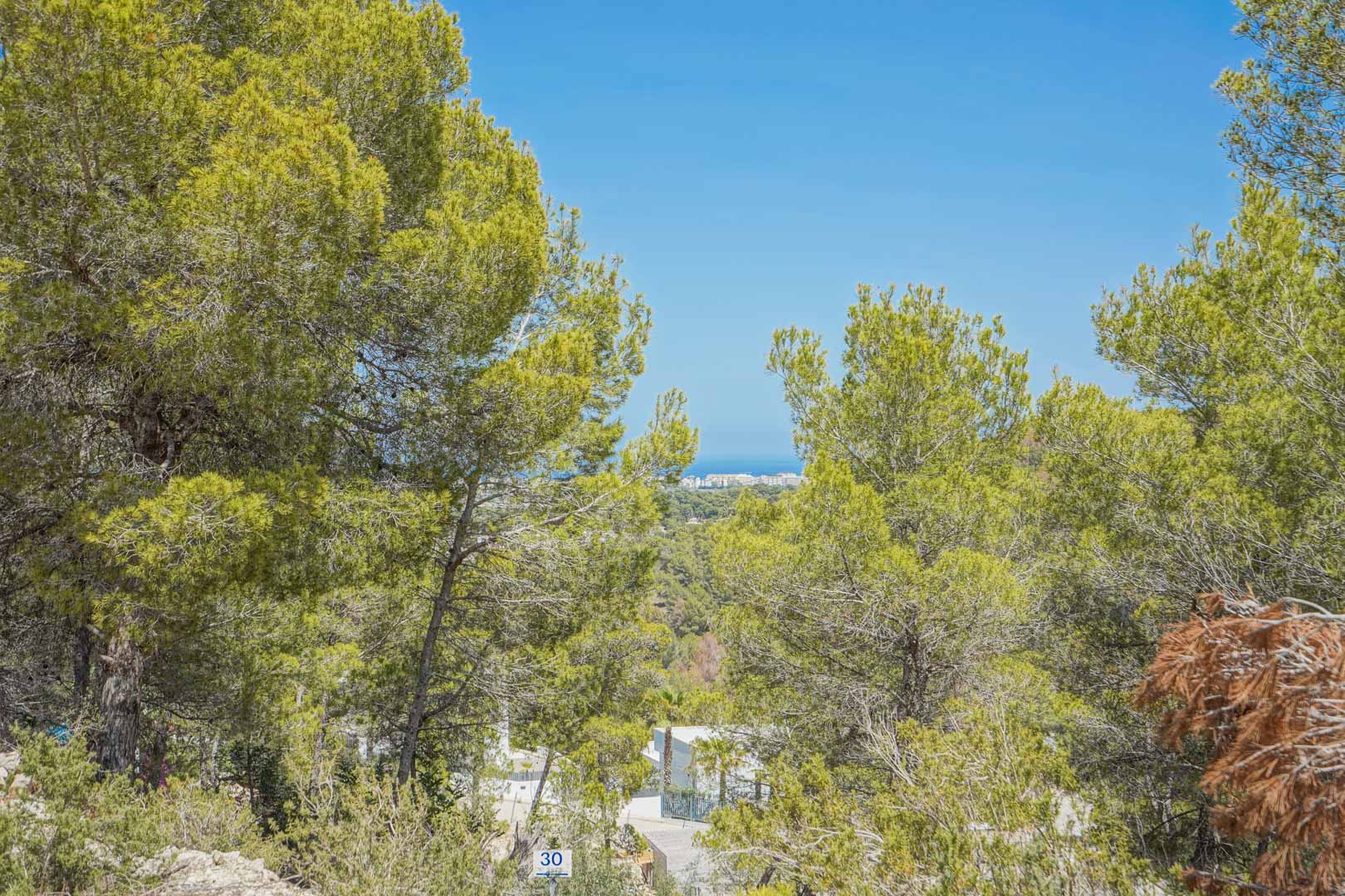 Erhöhte Aussicht vom Grundstück durch mediterrane Pinien, die das abfallende Gelände und den Fernblick auf das Meer unter blauem Himmel zeigt.