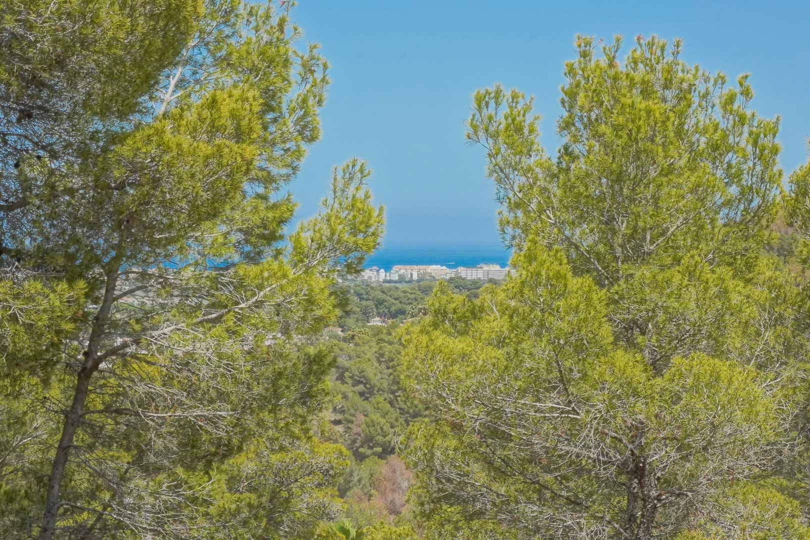 Panoramablick auf das Mittelmeer und die Küstenstadt, eingerahmt von mediterranen Pinien von der erhöhten Lage des Baugrundstücks aus.