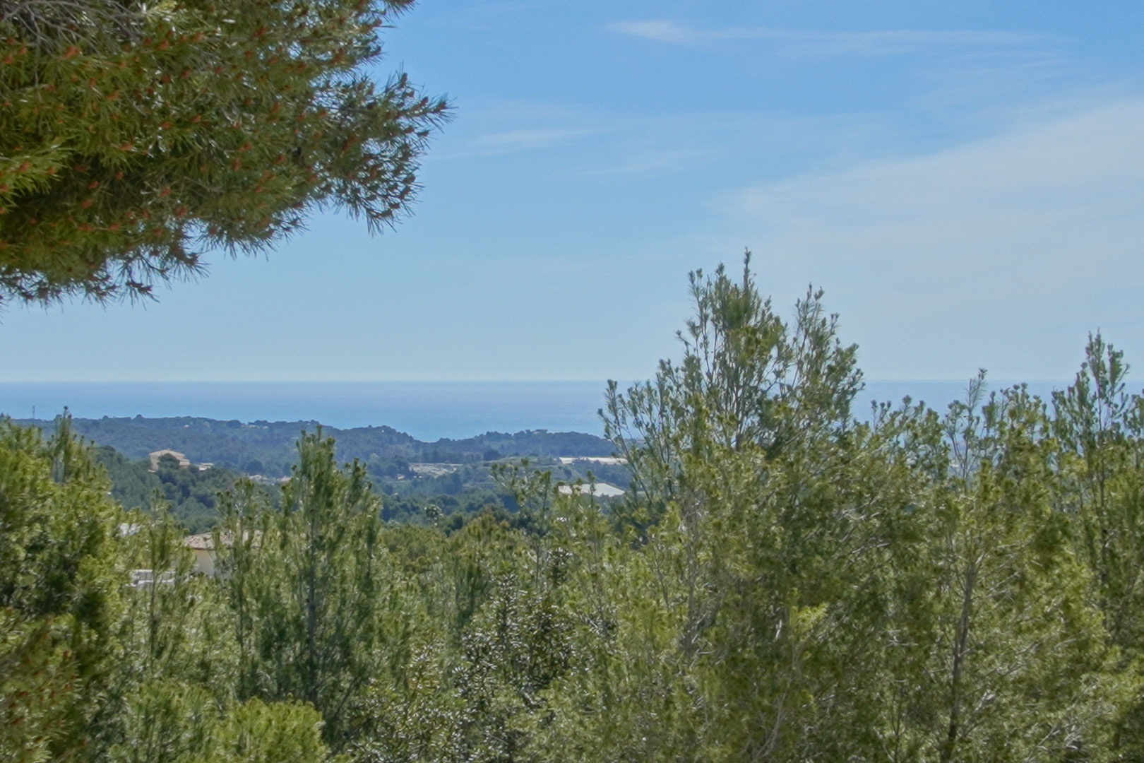 Freier Blick auf das Mittelmeer und die umliegende Naturlandschaft, eingerahmt von der für die Region Altea charakteristischen üppigen Pinienvegetation.