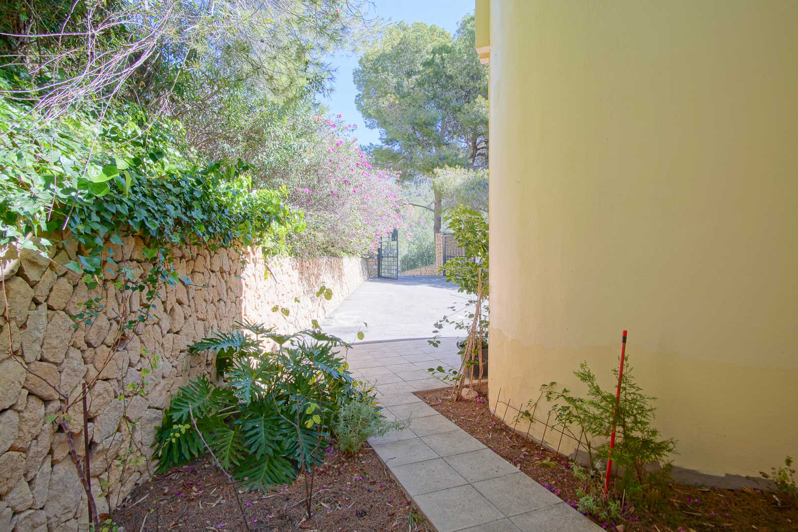 Gepflasterter Seitenweg entlang einer Natursteinmauer und mediterraner Bepflanzung, der an der geschwungenen gelben Fassade zum Einfahrtstor führt.
