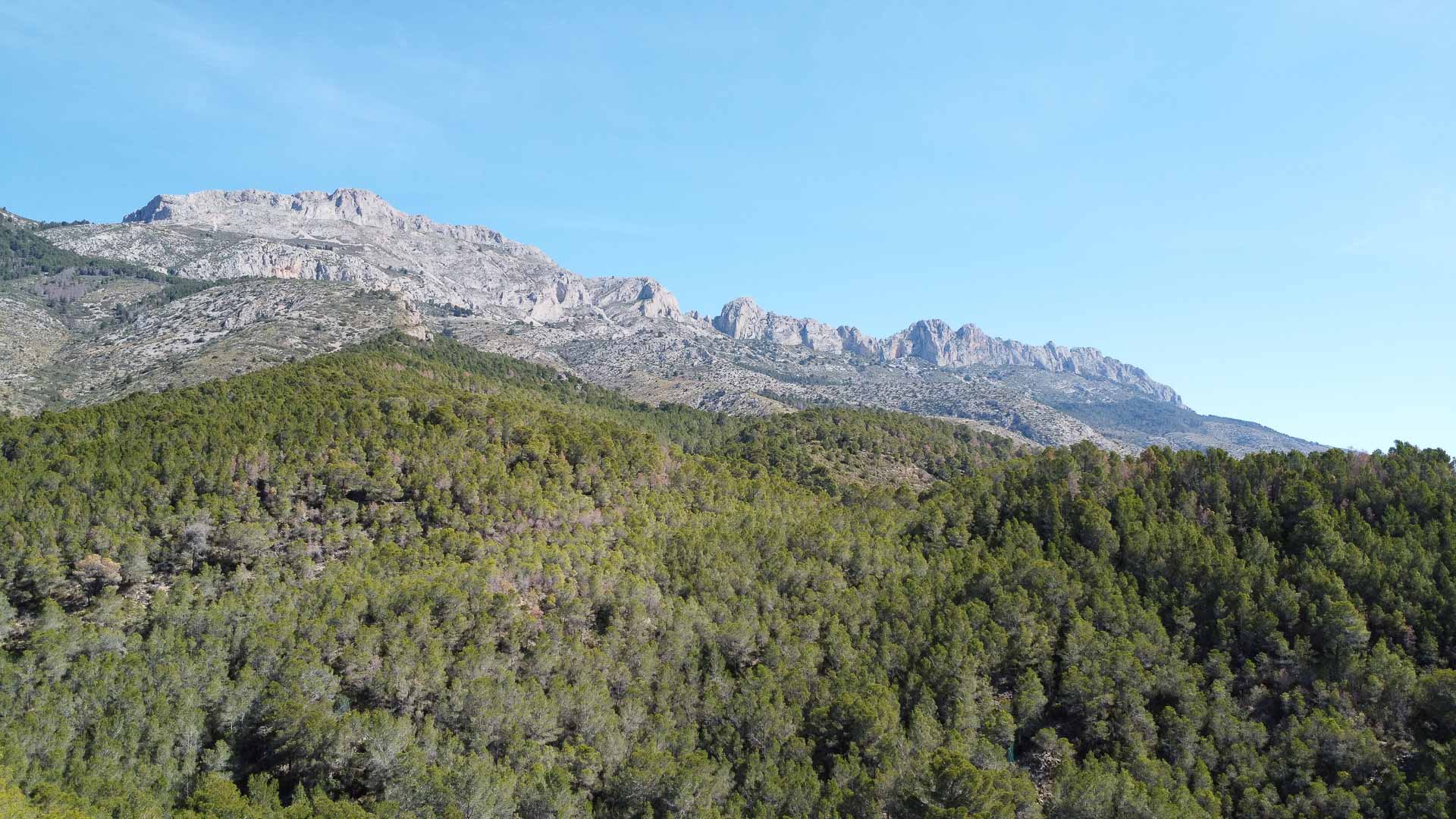 Panoramablick auf das Sierra Bernia-Gebirge und die umliegende Naturlandschaft mit dichtem Pinienwald und markanten Kalksteingipfeln.