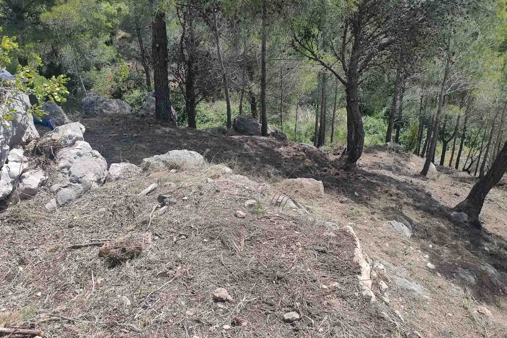 Naturbelassenes Hanggrundstück mit mediterranen Pinien und Felsformationen auf dem weitläufigen Areal der Villa.