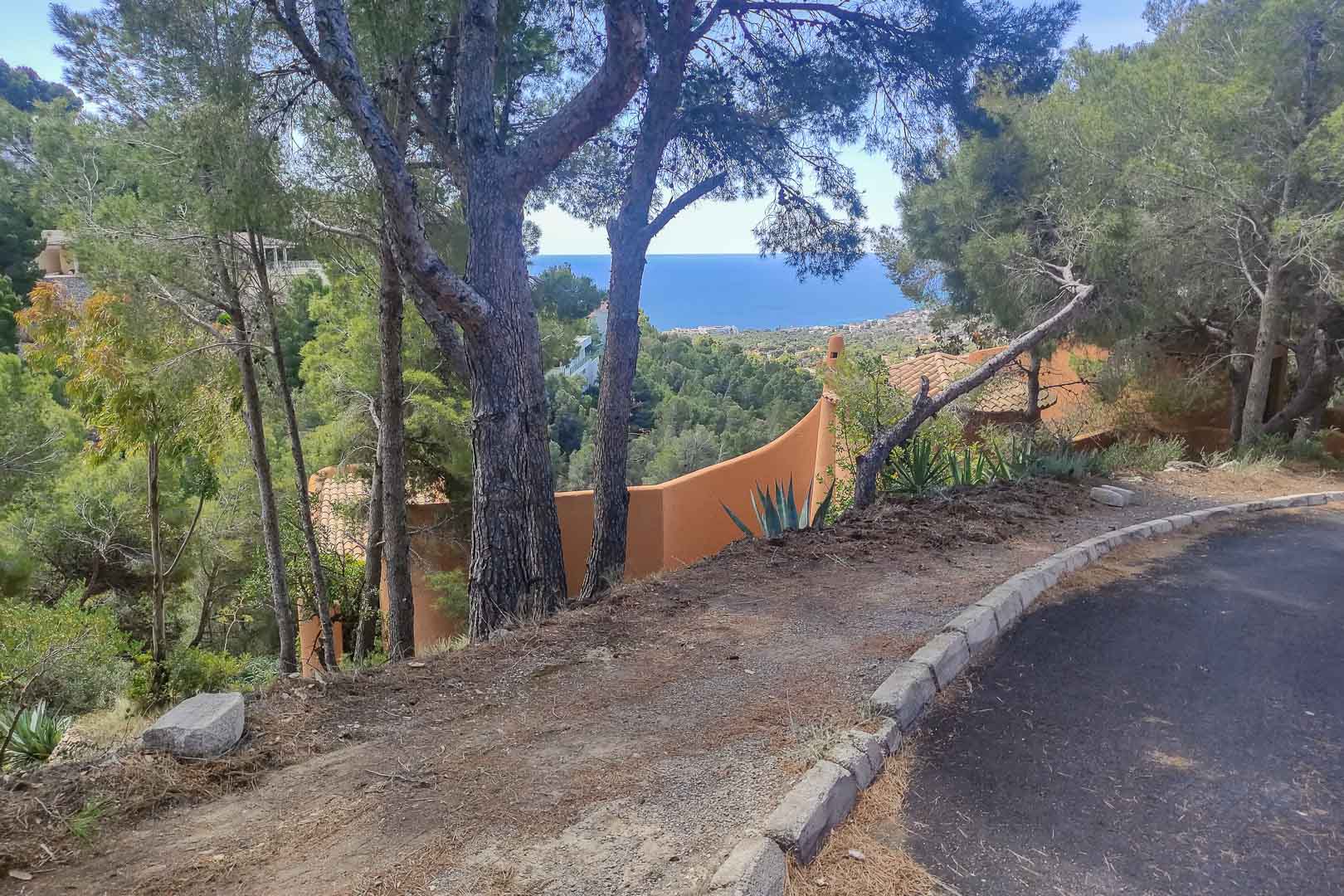 Panoramablick auf das Mittelmeer vom erhöhten Grundstückszugang aus, umrahmt von alten Pinien und einheimischer Vegetation in privater Lage.