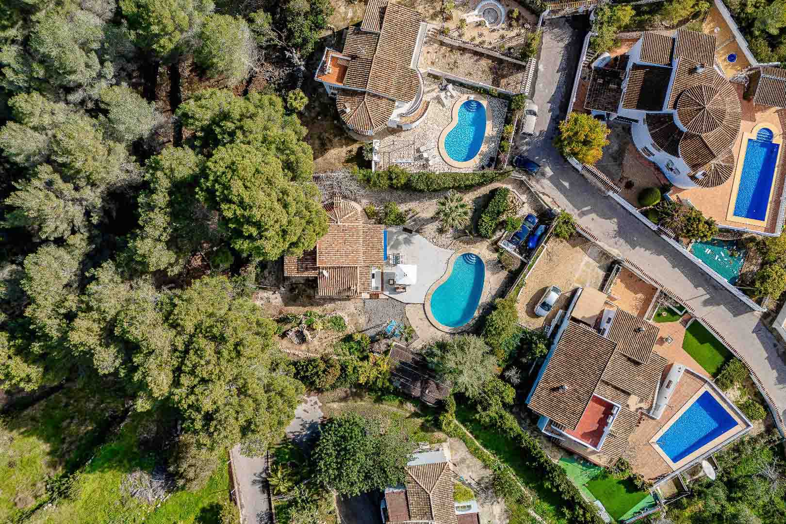 Luftaufnahme des Grundstücks mit mediterraner Vegetation, nierenförmigem Privatpool und traditioneller Architektur mit Ziegeldächern.