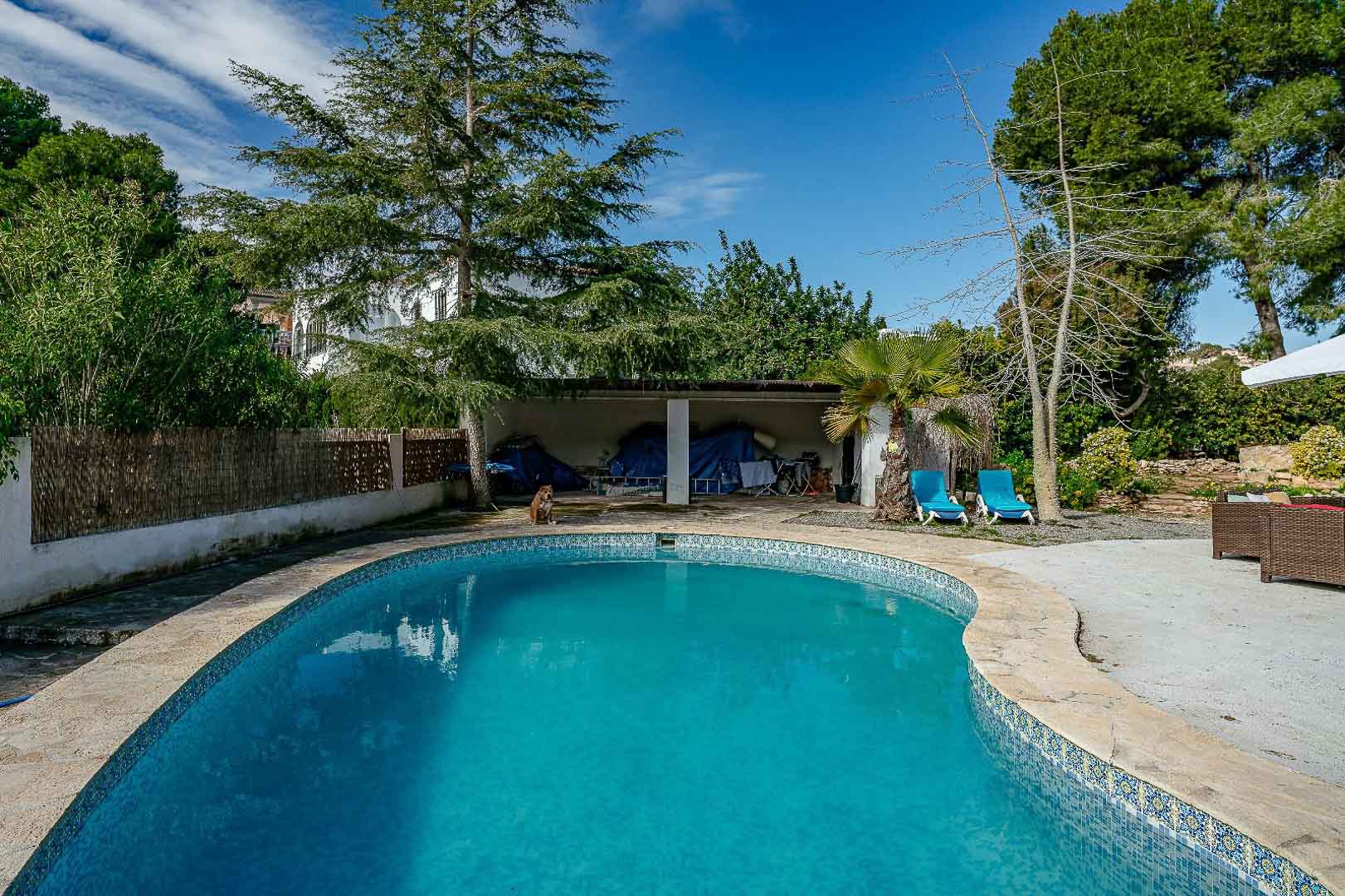Privater Swimmingpool mit blauen Mosaikfliesen und Natursteinrand, umgeben von einem eingewachsenen mediterranen Garten mit Pinien und Palmen.