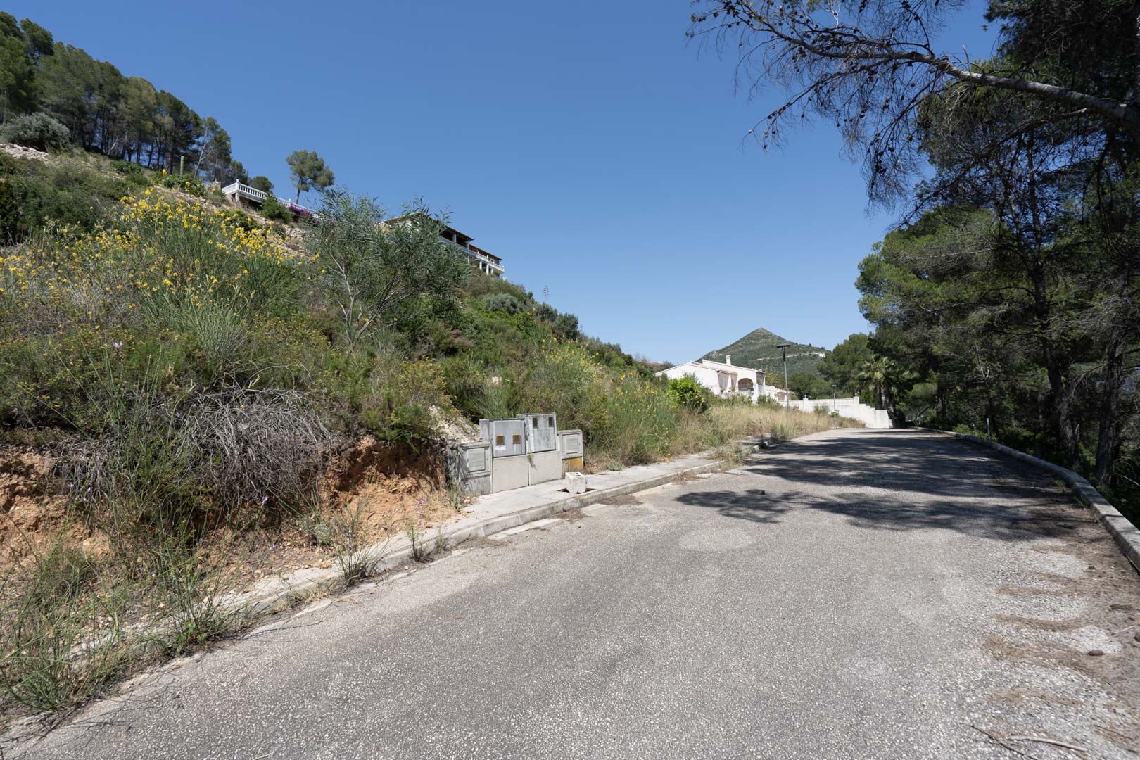 Blick auf die asphaltierte Zufahrtsstraße zu den Grundstücken in Alcalalí, umgeben von mediterraner Hangvegetation und bereits installierten Versorgungsanschlüssen.