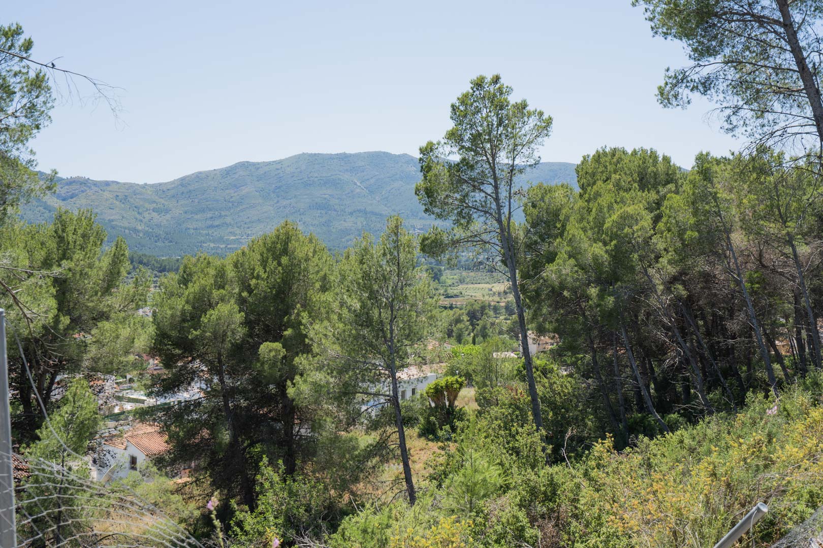 Erhöhter Panoramablick über das Jalón-Tal mit einheimischen Pinienwäldern und einer weiten Berglandschaft unter klarem Himmel.