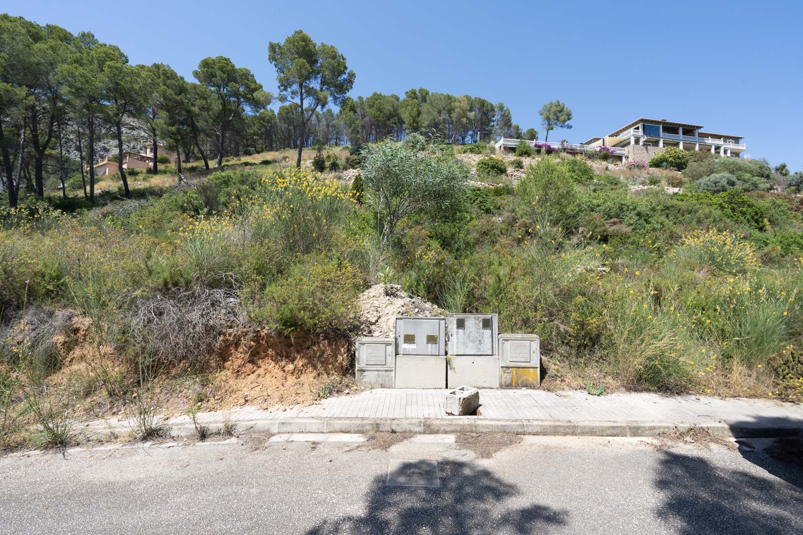 Erhöhtes Baugrundstück in Alcalalí mit installierten Versorgungsanschlüssen, eingebettet in die natürliche Hanglandschaft mit Pinienbewuchs.