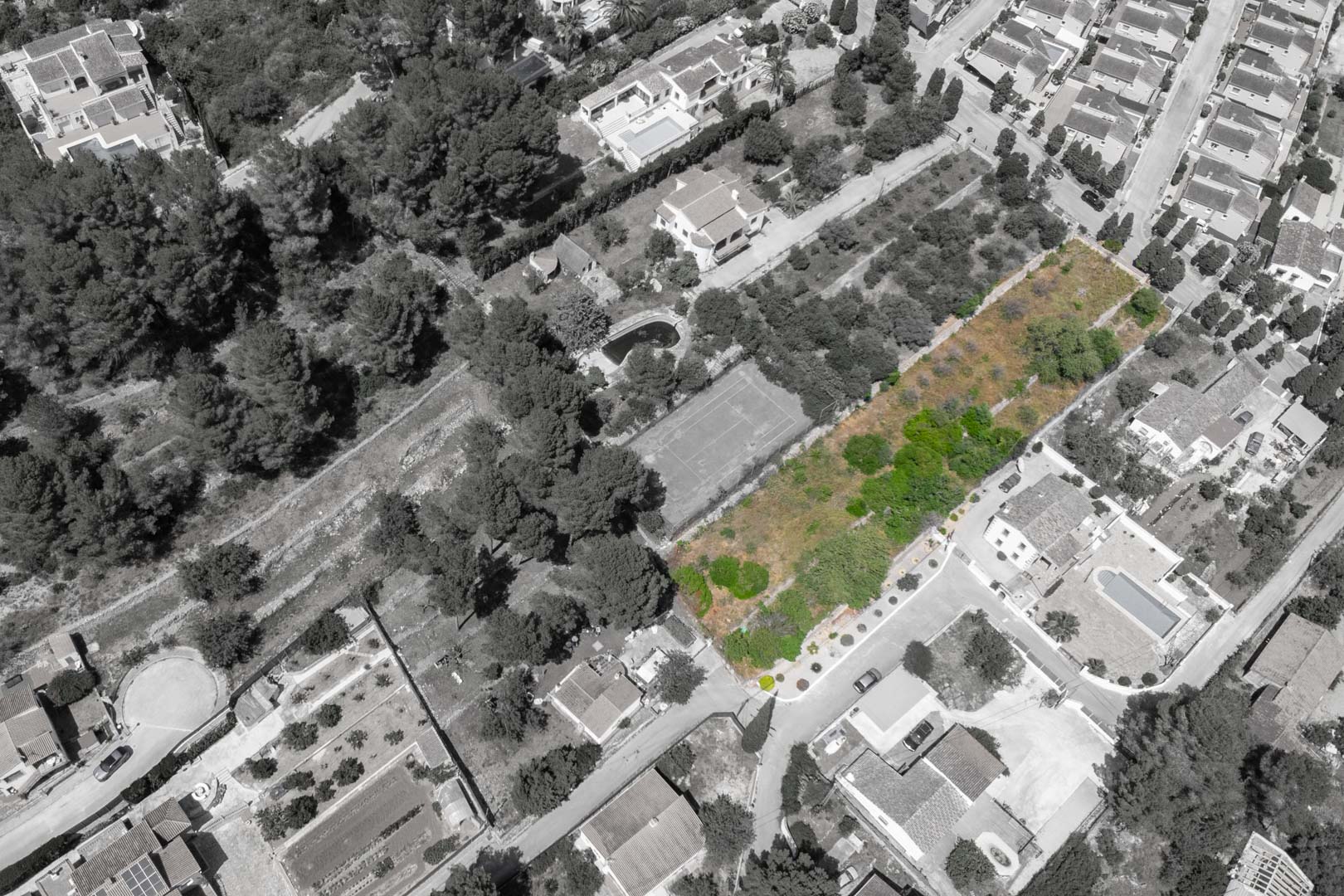 Luftaufnahme von Residencial VALL DE POP in Alcalalí mit grün markierten Grundstücken in einer etablierten Wohngegend, umgeben von Pinien und Sportanlagen.