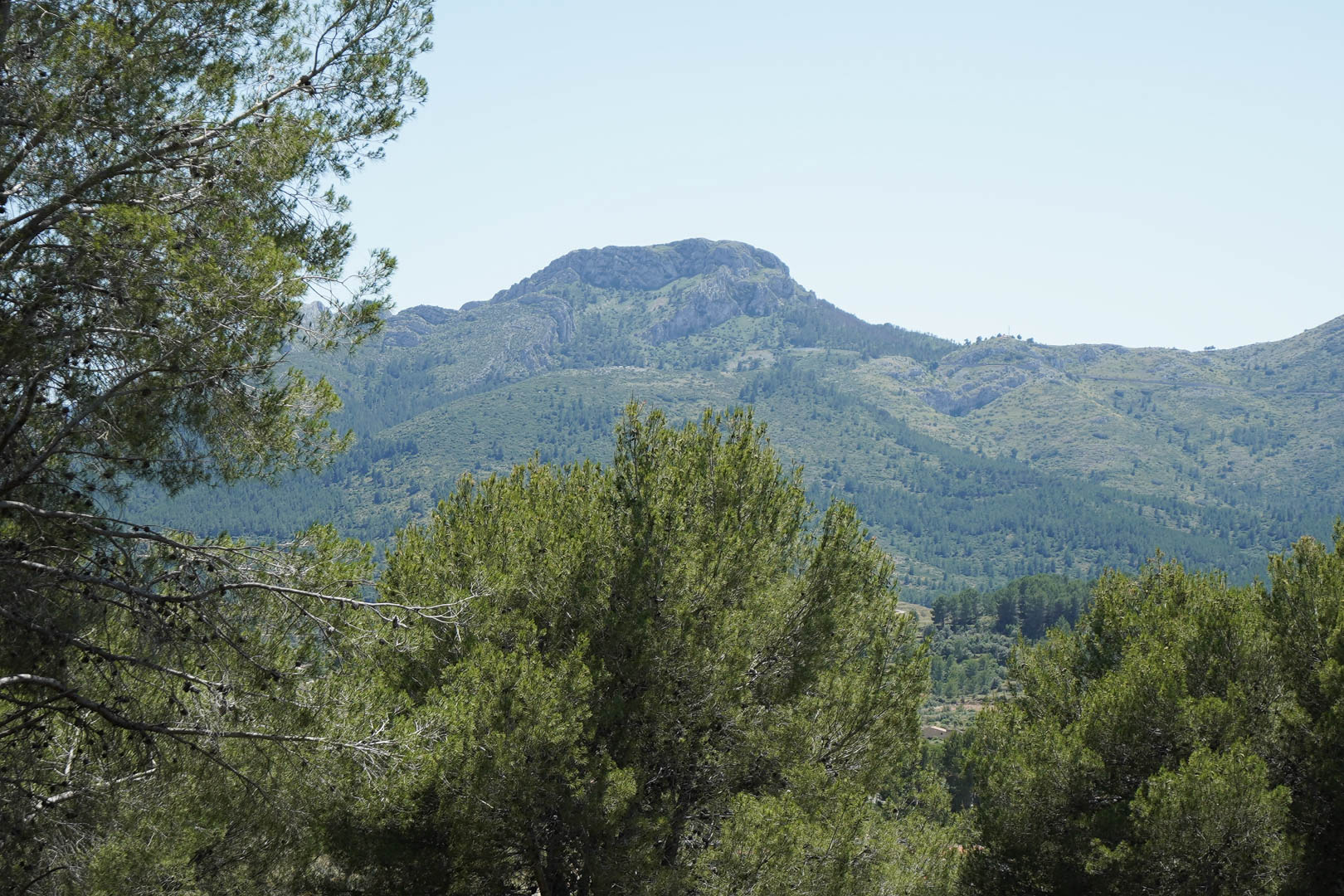 Panoramablick auf die umliegenden Berge und die pinienreiche Landschaft von der erhöhten Lage der Anlage VALL DE POP in Alcalalí.