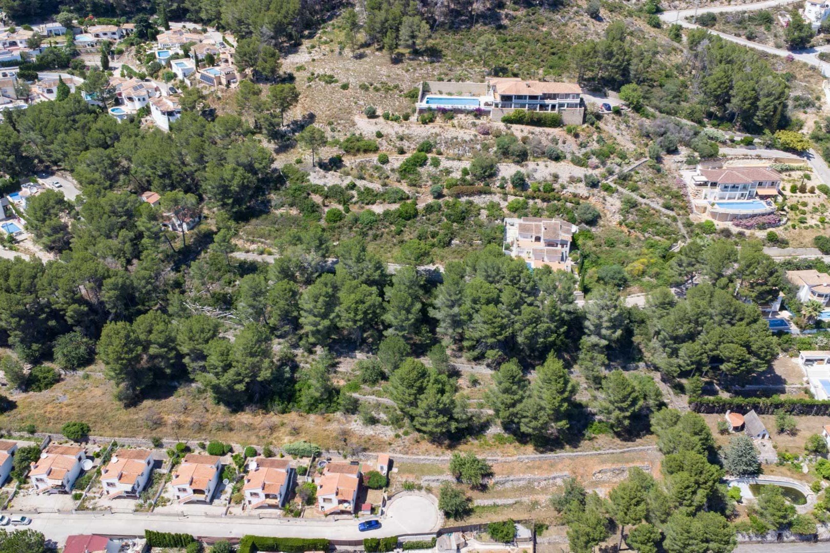 Luftaufnahme der Hanggrundstücke in Alcalalí mit traditionellen Terrassen und Pinienbestand, die einen weiten Blick über das Jalón-Tal bieten.