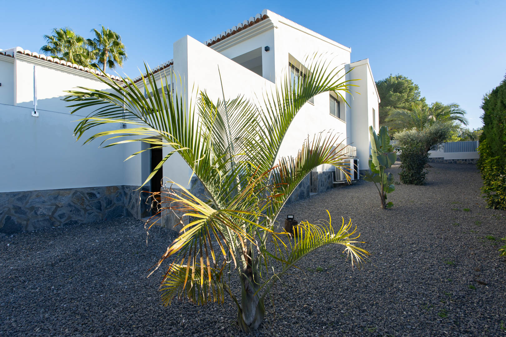Außenansicht der Villa mit Kiesanlage, Steinsockel und junger Palme.