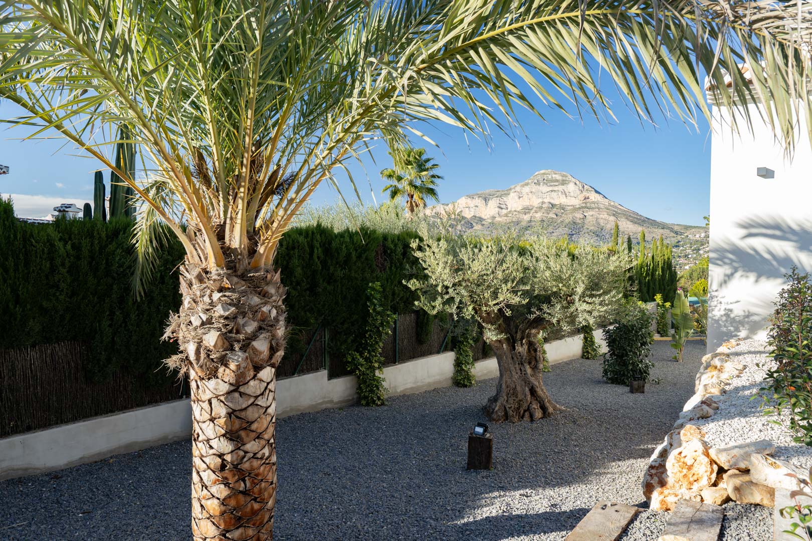 Mediterraner Garten mit Kies, Palme und Olivenbaum, Bergblick in Jávea.
