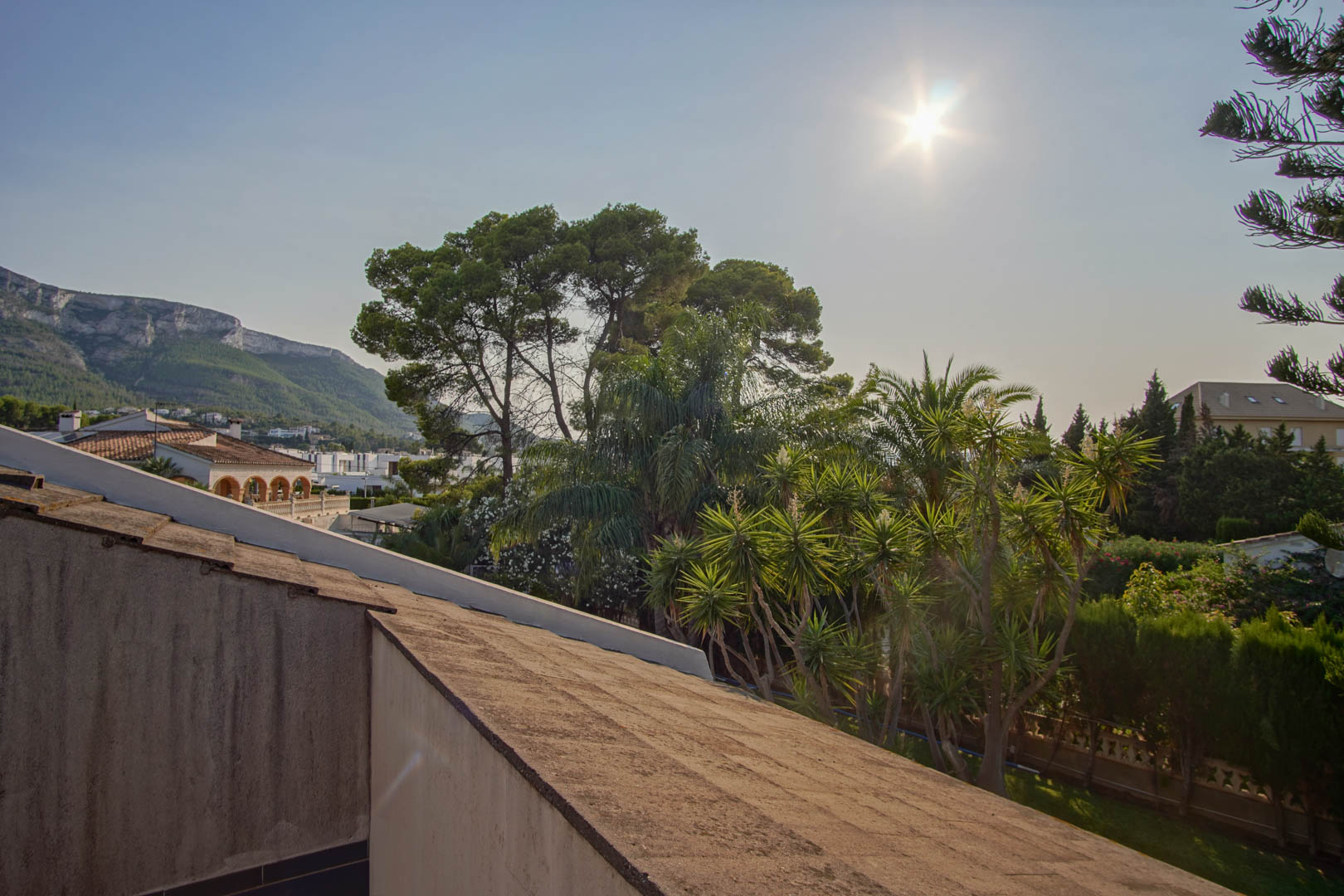 Freier Blick auf das Montgó-Massiv von der oberen Etage, umgeben von mediterraner Vegetation mit Palmen und Pinien unter strahlender Sonne.