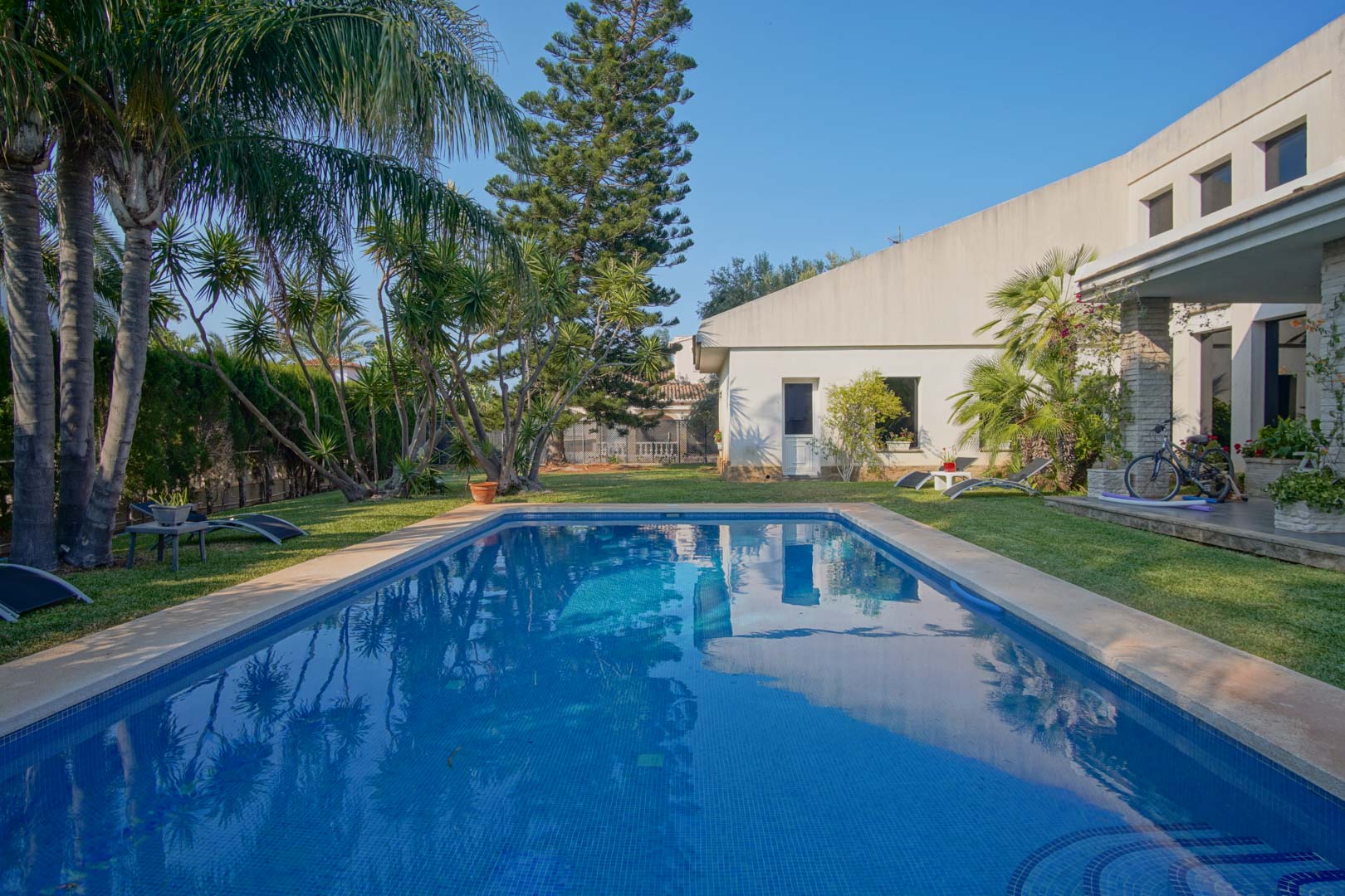 Rechteckiger Pool mit blauen Mosaikfliesen, umgeben von gepflegtem Rasen und einem mediterranen Garten mit Palmen und Pinien vor der weißen Fassade.