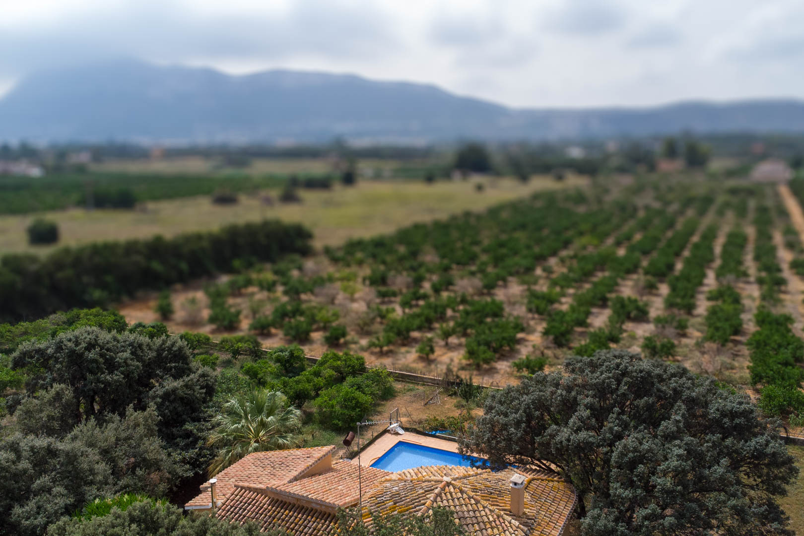 Luftaufnahme des privaten Pools und des Ziegeldachs, eingebettet in weitläufige Obstplantagen mit Panoramablick auf die fernen Berge.